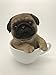 Pacific Giftware Adorable Teacup Pet Pals Puppy Collectible Figurine 5.75 Inches (Pug)