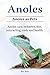 Anoles. Anoles as Pets. Anoles care, behavior, diet, interacting, costs and health. by 