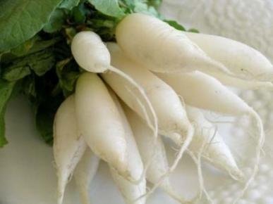 David's Garden Seeds Radish White Icicle EB127NB (White) 500 Organic Heirloom Seeds David's Garden Seeds Radish White Icicle EB127NB (White) 500 Organic Heirloom Seeds