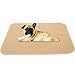 Mihachi Pet Pee Pad 2 Pack - 24