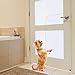 IN HAND Deluxe Pet Door Scratch Shield, Heavy Duty Flexible Door Guard Cover Protect Your Doors & Walls, Large Clear Door Scratch Protector (36.5