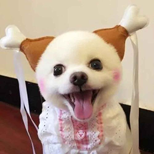 Ztl Pet's Novelty Turkey Drumstick Headband Dog Cat Cute Headwear Funny Headdress