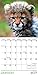 TF Publishing 2017 Baby Animals Mini Calendar (17-2000)