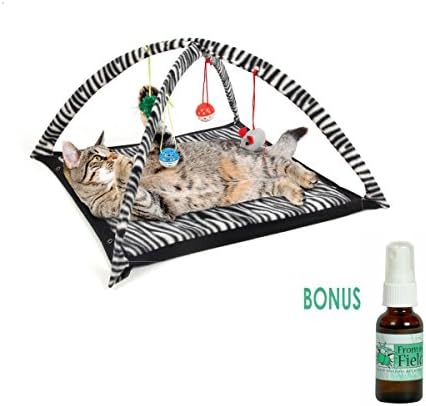 Cat Activity Center with Hanging Toy Balls, Mice & More plus Bonus USA Organically Grown Catnip Spray - Helps Cats Get Exercise & Stay Active (Black & White)
