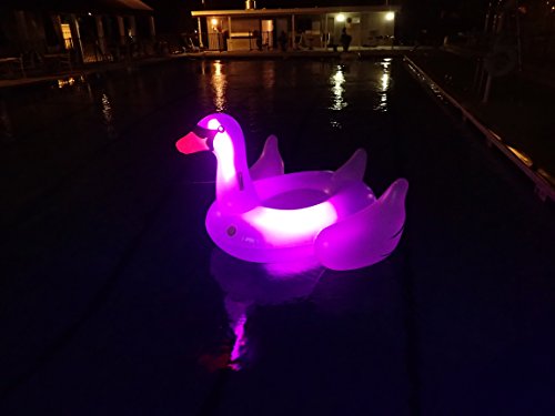 Swimline Giant LED Light Up Swan Float