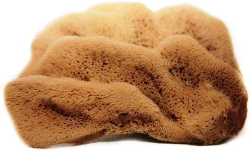 5-5.5 Inches, Silk Fina' Natural Sea Sponge for Showering Sensistive Skin, Washing, Cleaning, Bath, Art and Craft Uses (Unbleached)