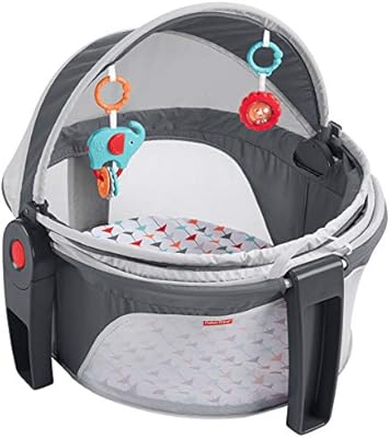 fisher and price on the go baby dome