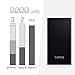 Lumsing 8000mAh Power Bank 2 Port USB Portable Charger Battery Pack for iPhone, Android (Black)