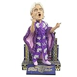 SP Images RIC Flair WWE Bobblehead FOCO LE