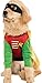 Rubies Teen Titans: Robin Pet Costume for Dogs or Cats, Small