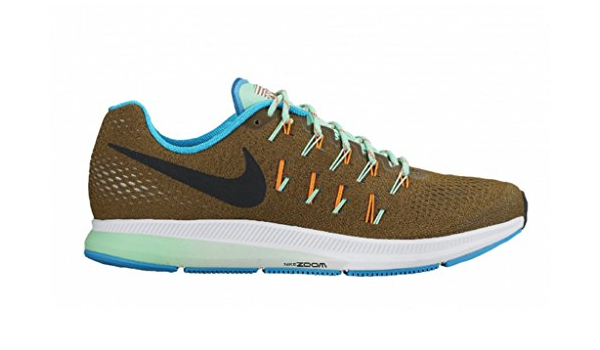 nike pegasus 33 rc