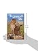 Leopard's Tale: Featuring Half-Tail And Zawadi, Stars Of Big Cat Diary (Bradt Travel Narratives)