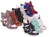 Pl Hi-top Wedge Lace-up Sneaker