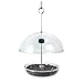 Droll Yankee CUTE Chickadee Feeder Small Domed Multi-purpose Bird Feeder for Mealworms, Seed, or Fruit