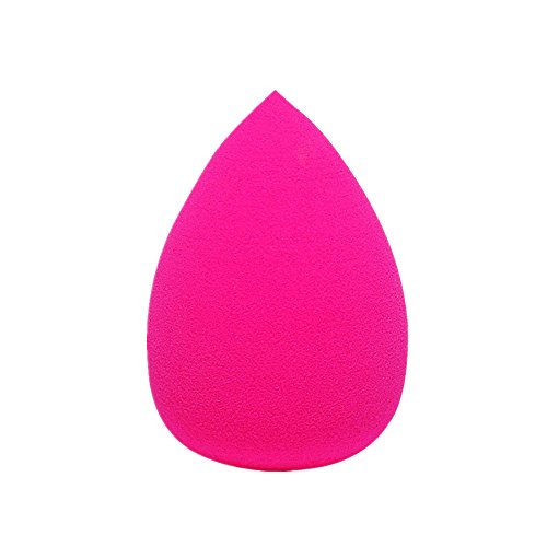 Wensltd 5 Pcs Multi Color Makeup Sponges Set, Foundation Blending Sponge,Flawless for Liquid, Creams, and Powders