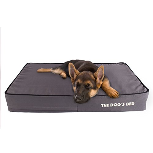 Top 5 Best Dog Beds For Labradoodles [2019] Best Dog Care Tips