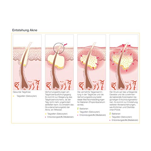 aesthetico fruit complex body & face lotion