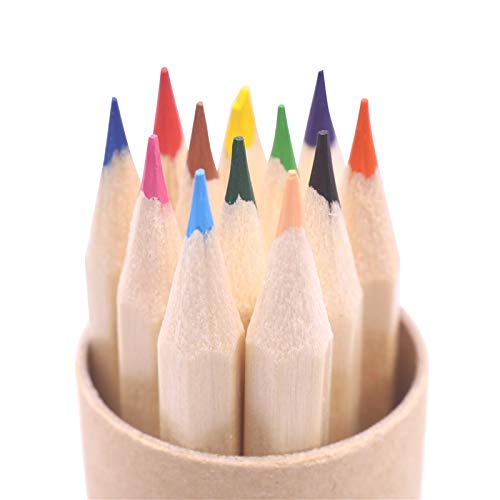 Dunnomart 12 pcs Wood Colored Pencil 1723mm Drawing Student Office Stationery Paper Cylinder Packaging