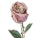 DEFAITH 24k Gold Dipped Rose with Crystal Heart Stand (Pink Original)