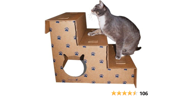 amazon cat stairs