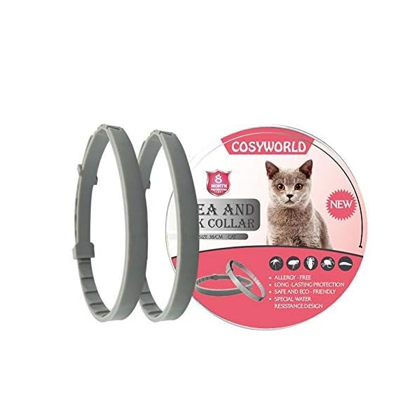 essential oil flea collar