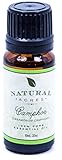 Camphor Essential Oil - 100% Pure Therapeutic Grade Camphor Oil by Natural Acres - 10ml
