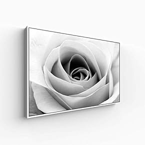 Canvas Wall Art for Living Room, Bedroom Monochrome Plants Framed Canvas Prints for Home Decoration Ready to Hang - 16x24 inches