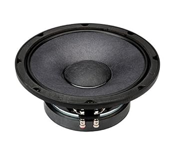 p audio 800 watt speaker price