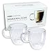 Double Wall Glass Espresso Latte Cappuccino Mug, Coffee Cup | Set of 2 (2, 10.5 oz)