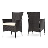 Christopher Knight Home 295968 Clementine Outdoor Multibrown PE Wicker Dining Chairs