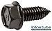 Inline Tube Compatible with 1964-81 GM (All Models) Front Fender End Bolt Kit Common to All GM, 158pc