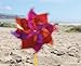 n The Breeze 2805 Mylar Rainbow Pinwheel - Assorted 2 Tone Color Spinners - 8 Piece Bags, 8 Inch