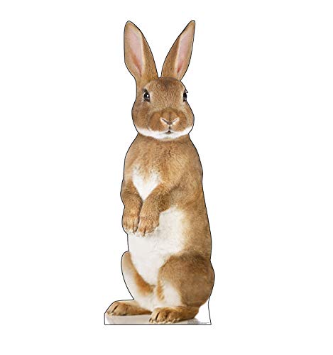 Advanced Graphics Bunny Rabbit Life Size Cardboard Cutout Standup