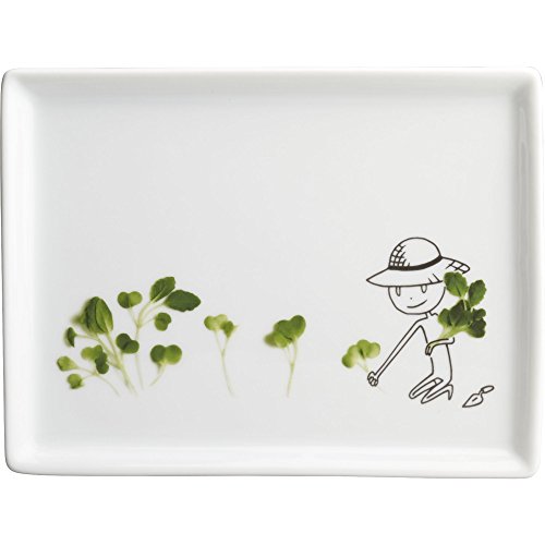 Oliver Appetizer Plates. CB2 Oliver Champagne Cork Appetizer Plate.