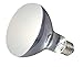 Zoo Med PowerSun UV Bulb 160 Watt