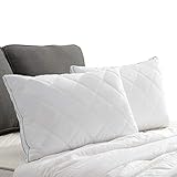 Basic Beyond White Gusseted Feather Down Pillow (Queen) Most Popular Feather Down Pillow Soft Quilted Desigen for Support of Sleeping, Set of 2