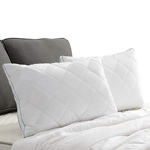 Basic Beyond White Gusseted Feather Down Pillow (Queen) Most Popular Feather Down Pillow Soft Quilted Desigen for Support of Sleeping, Set of 2