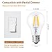 KEDSUM 6W A19 Dimmable Vintage Edison Led Bulb, 60W Incandescent Equivalent 2700K Warm White, 500LM Filament Light Bulbs for Pendant Lighting Chandeliers Ceiling Fan, Pack of 6 (Gold)