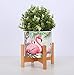 Ceramic Plant Pot Small Planter Flamingo Flower Pot with Wood Plant Stand Plant Pot Holder, 4.3 