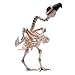 JOYIN Halloween Decoration 16” Pose-N-Stay Vulture Skeleton Plastic Bones with Posable Joints for Pose Skeleton Prop Indoor/Outdoor Spooky Scene Party Favors Décor.