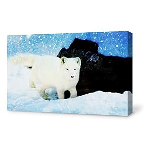 SIGNFORD Canvas Wall Art for Living Room,Bedroom Home...
