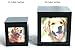 Heavenly Home Pet Keepsake Multiple Photo Cube Pet Urn for 1 to 4 Pictures Cremation Memorial for Pet Lovers Acrylic Glass Photo Protector Resting Place for Cat or Dog (15 Cubic Inches)