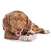 Cadet Gourmet Sweet Potato & Chicken Wraps Limited-Ingredient Dog Chews, Healthy and Natural Training Treats for Small and Large Dogs, 28 oz.