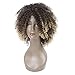 LMY Short Afro Kinky Curly Synthetic Wigs For Black Women Ombre Blonde Color Natural Hair Wigs With Bangs Cosplay Hair Cut (ombre blonde)