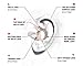 SureFire EP10 Sonic Defenders Ear Plugs (1 Pair)
