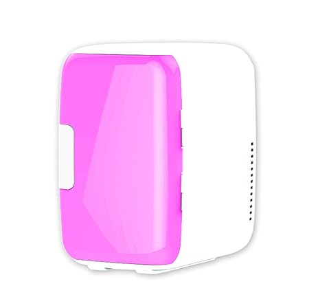 LQFLD Mini Nevera,Mini refrigerador eléctrico, refrigerador ...