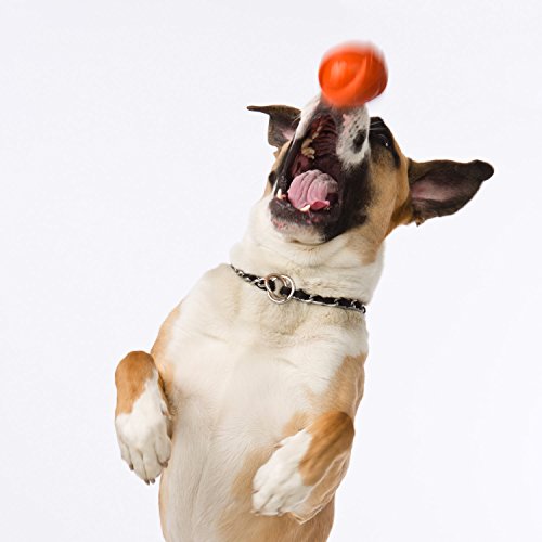 Hartz Dura Play Bacon Scented Dog Ball - Medium (Colors Vary)
