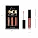 Waterproof Matte Liquid,Datework 3PCS New Fashion Lipstick Cosmetic Sexy Lip Gloss Kit (B)