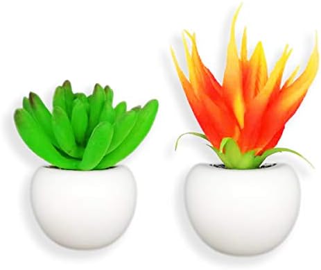 magnets fridge cute Succulent Fake Plant flower magnets Used As locker accessories office magnets ~also be used in the locker decorations locker decor car magnets magnets for fridge lock (Green01)