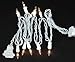 Novelty Lights 10 Light Clear Christmas Craft Mini Light Set, White Wire, 4' Long